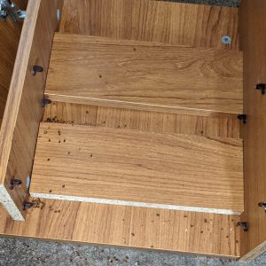 Bed Bugs in Cabinet