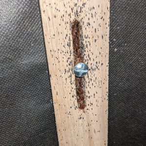 Bed bugs on bed frame